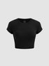 short sleeve t- shirt
